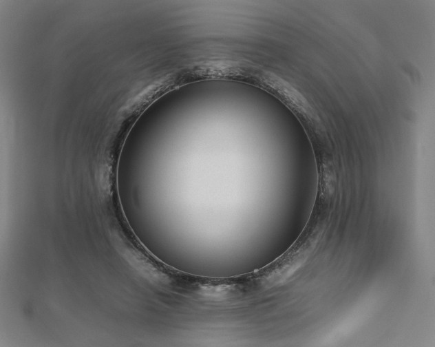 X0000112470450200908171202