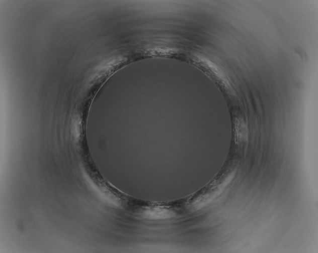 X0000112470451200908171202