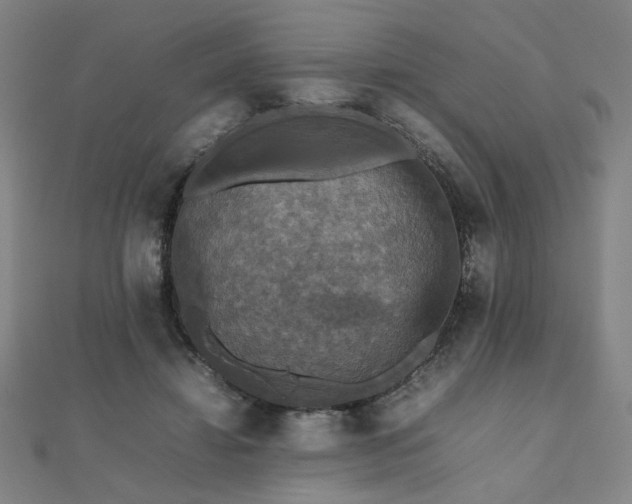 X0000112470452200908171202