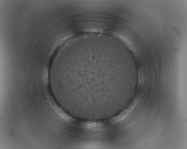 X0000112470453200908171202