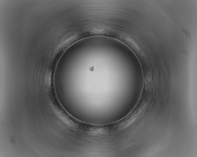 X0000112470454200908171202