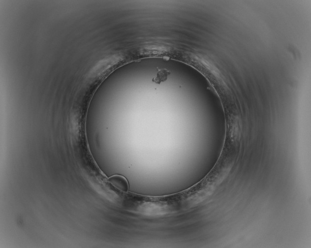 X0000112470455200908171202