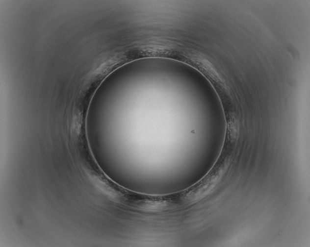 X0000112470458200908171202