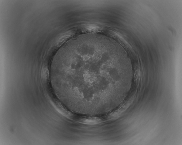 X0000112470459200908171202