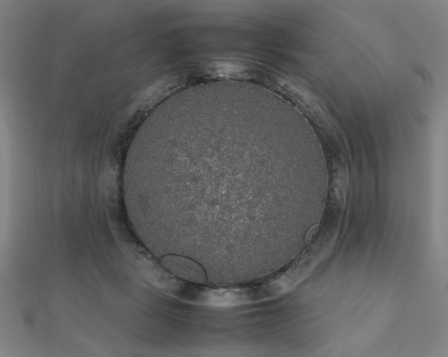 X0000112470461200908171202