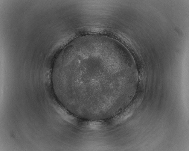 X0000112470462200908171202