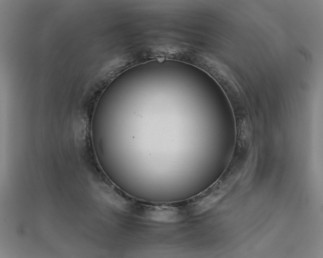 X0000112470463200908171202