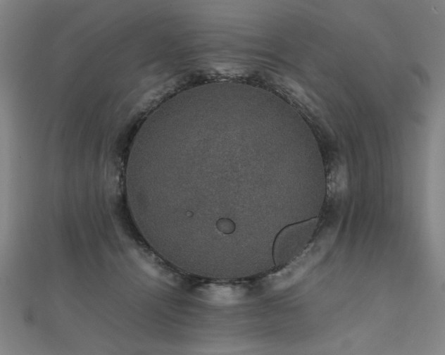 X0000112470464200908171202