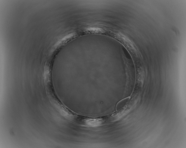 X0000112470465200908171202