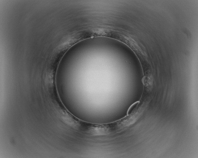 X0000112470466200908171202