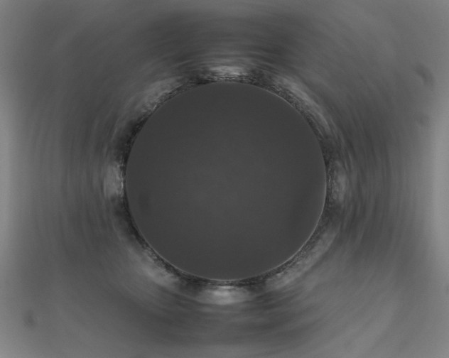 X0000112470467200908171202