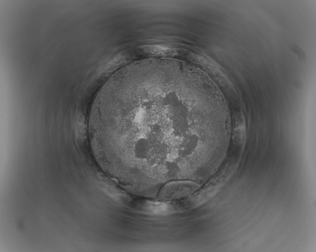 X0000112470469200908171202