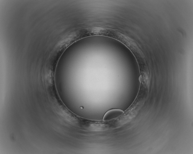 X0000112470470200908171202