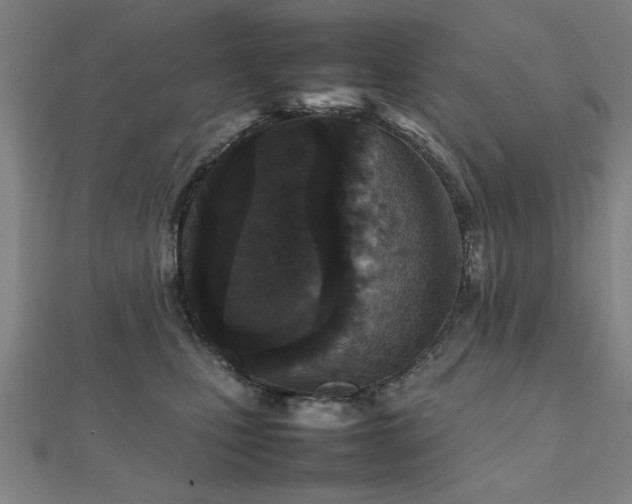 X0000112470471200908171202