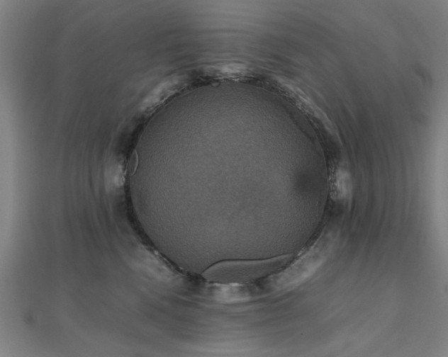 X0000112470472200908171202