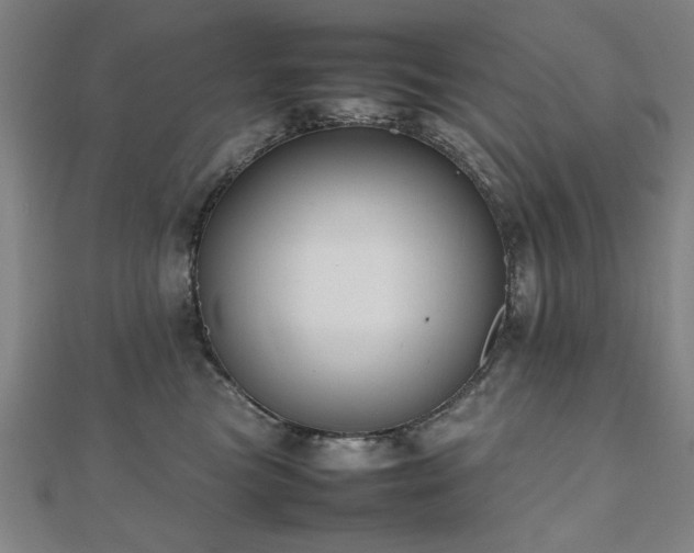 X0000112470473200908171202