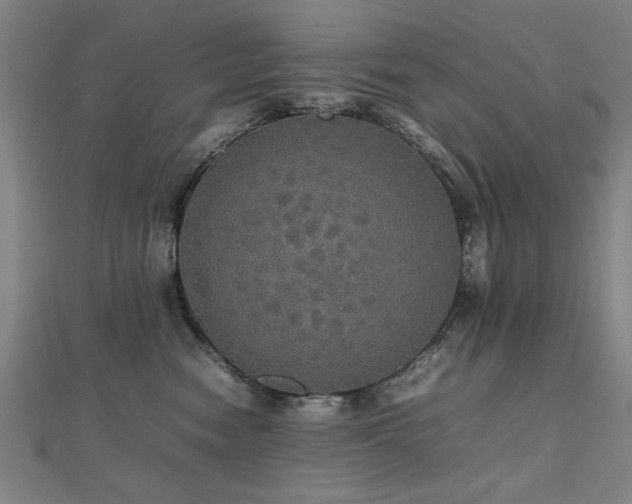 X0000112470474200908171202