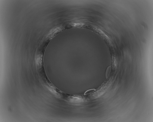 X0000112470475200908171202