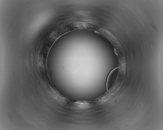 X0000112470477200908171202