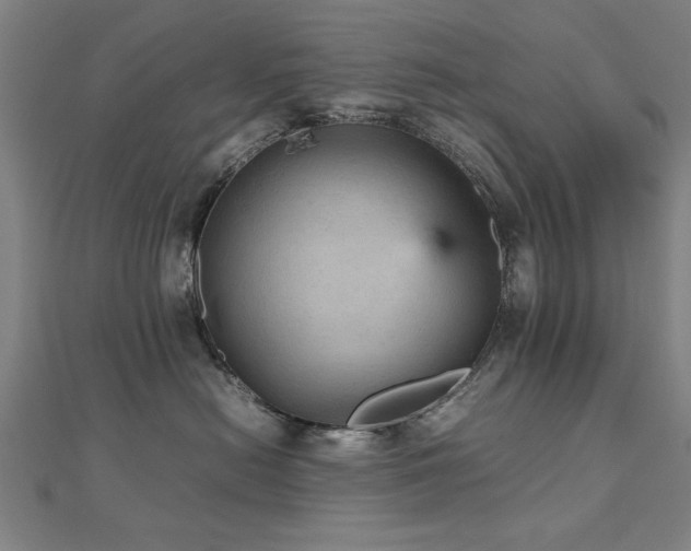 X0000112470478200908171202