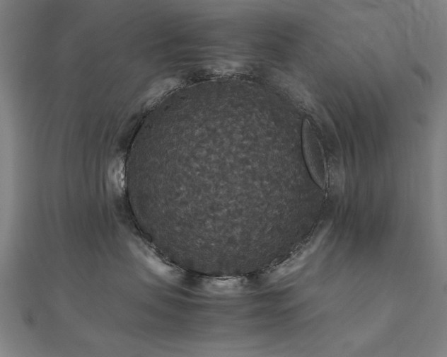 X0000112470479200908171202