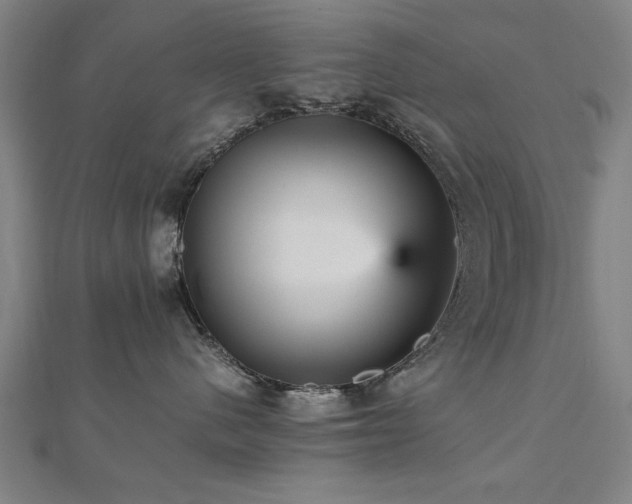 X0000112470480200908171202