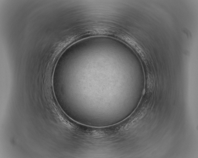 X0000112470481200908171201