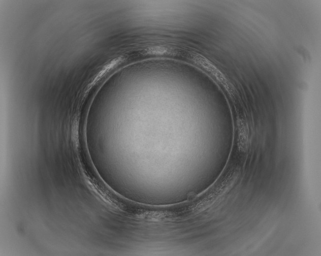 X0000112470482200908171201