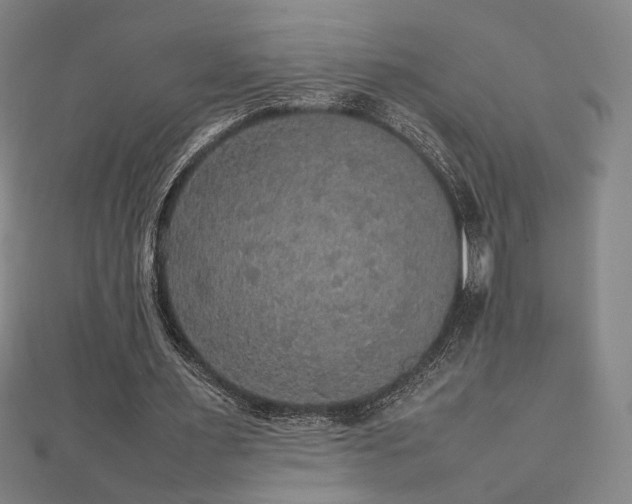 X0000112470483200908171201