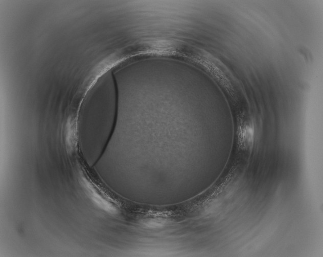 X0000112470484200908171201