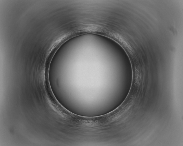 X0000112470486200908171201