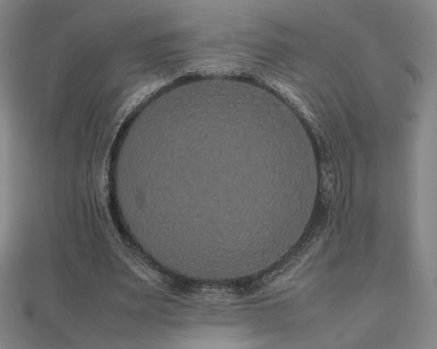 X0000112470487200908171201