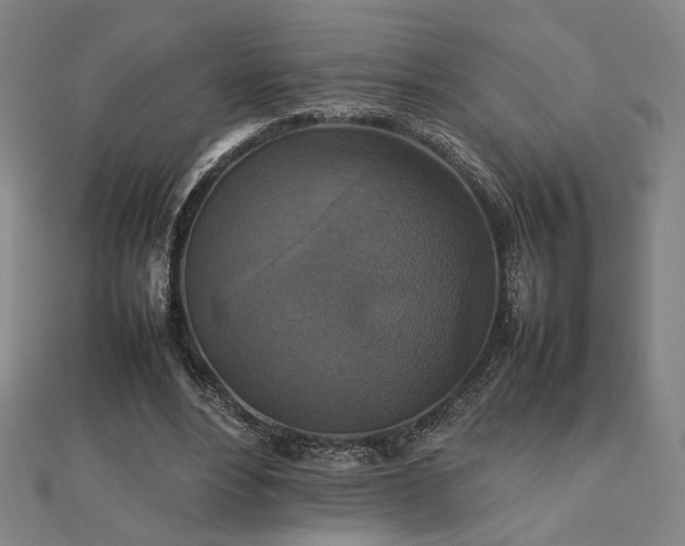 X0000112470488200908171201