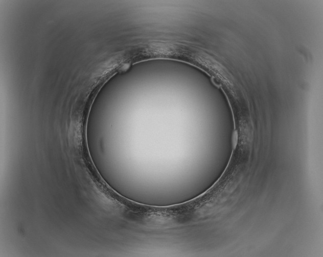 X0000112470489200908171201