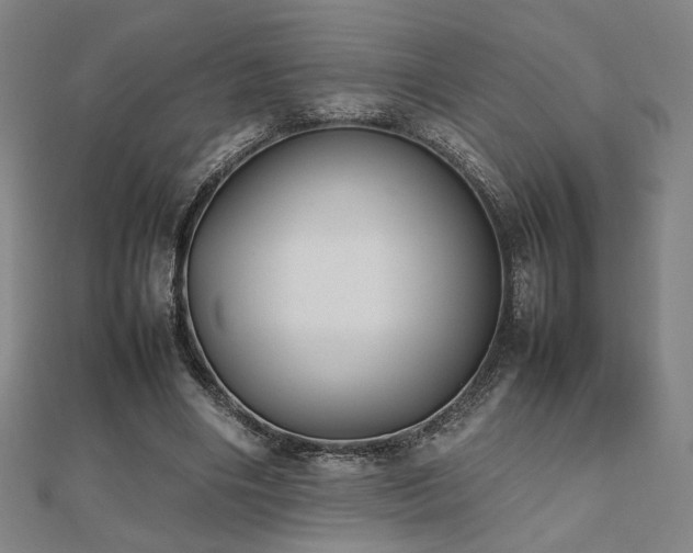 X0000112470490200908171201