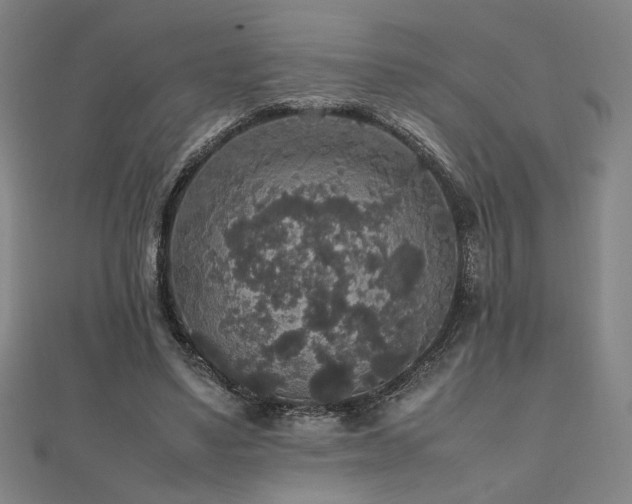 X0000112470491200908171201