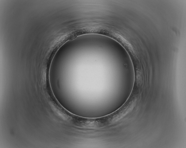 X0000112470493200908171201