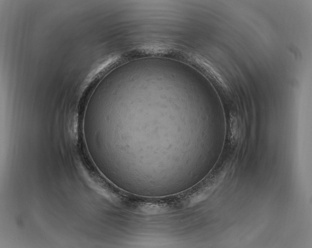 X0000112470494200908171201