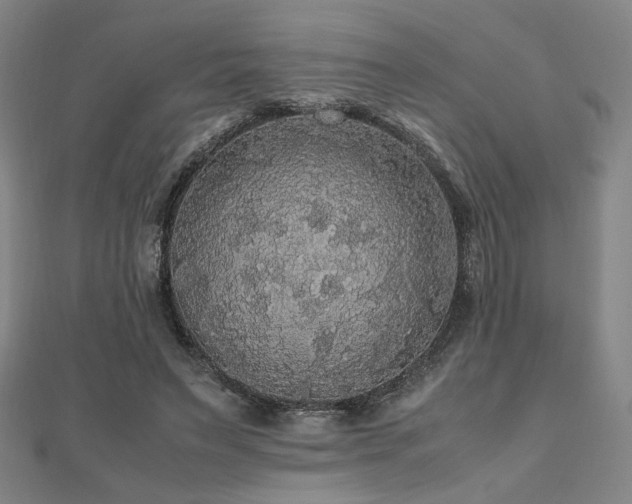 X0000112470495200908171201