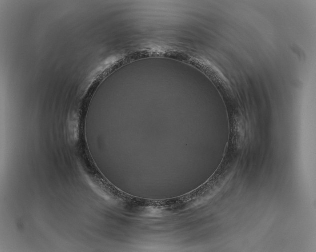 X0000112470496200908171201