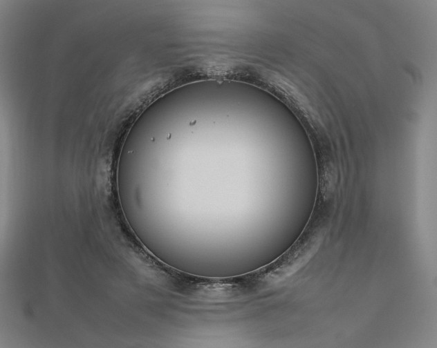 X0000112470497200908171201