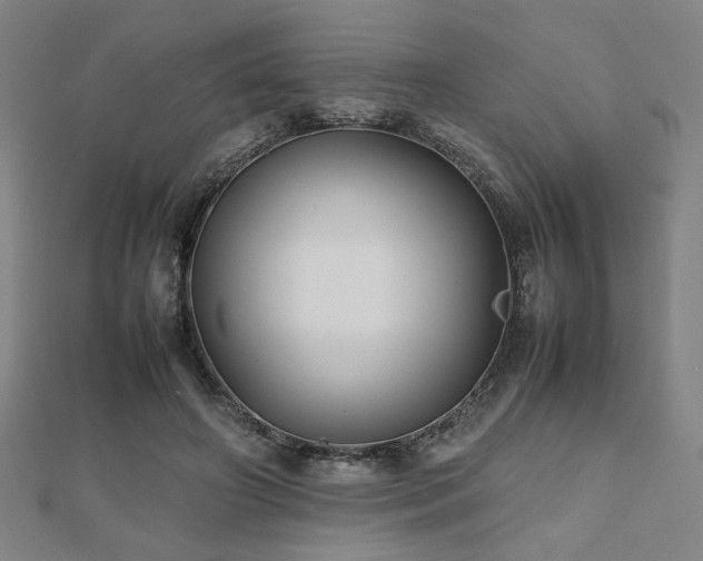 X0000112470498200908171201