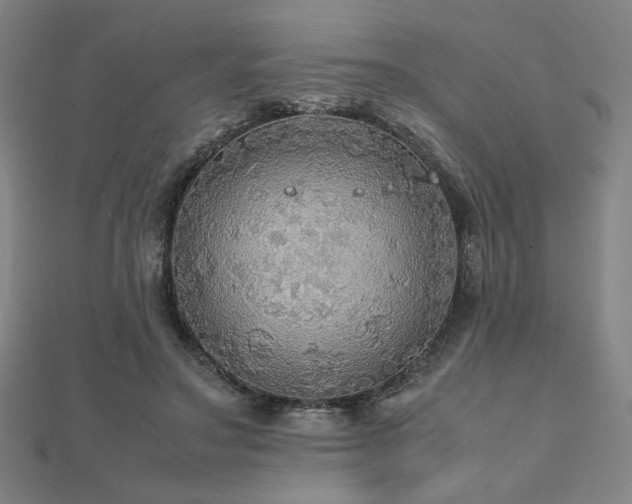 X0000112470499200908171201