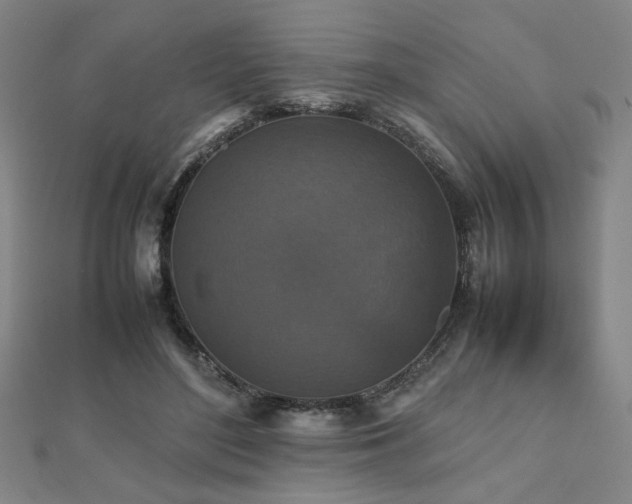 X0000112470500200908171201