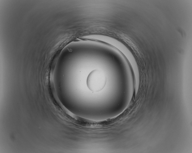 X0000112470501200908171201