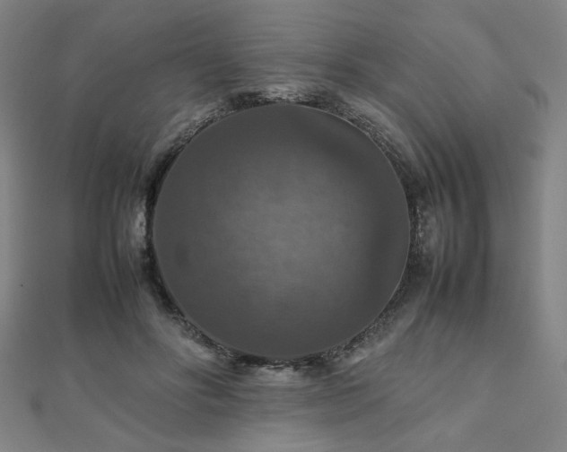 X0000112470502200908171201