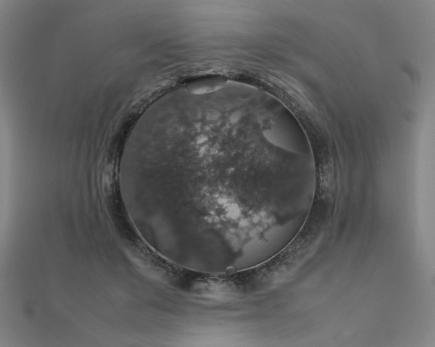 X0000112470503200908171201