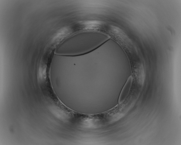 X0000112470504200908171201