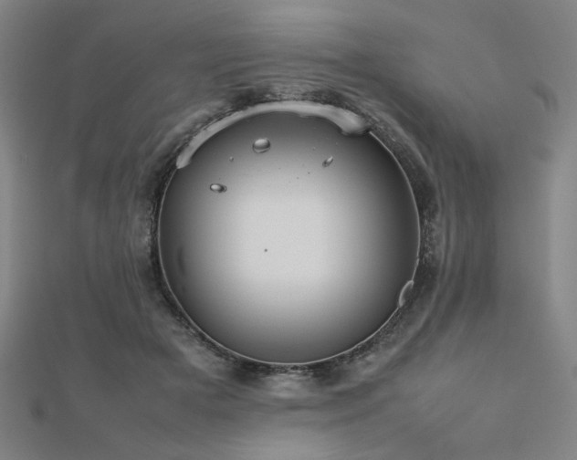 X0000112470505200908171201