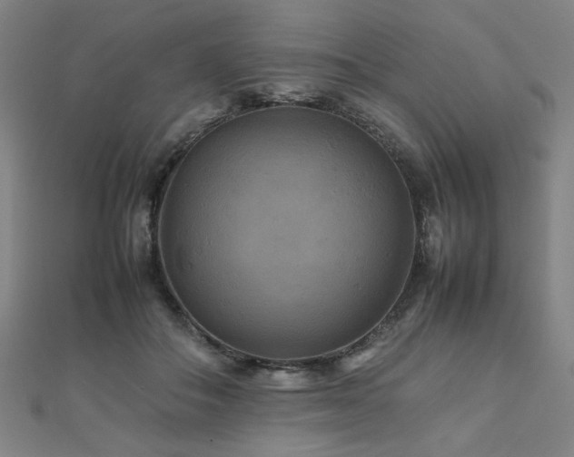 X0000112470506200908171201